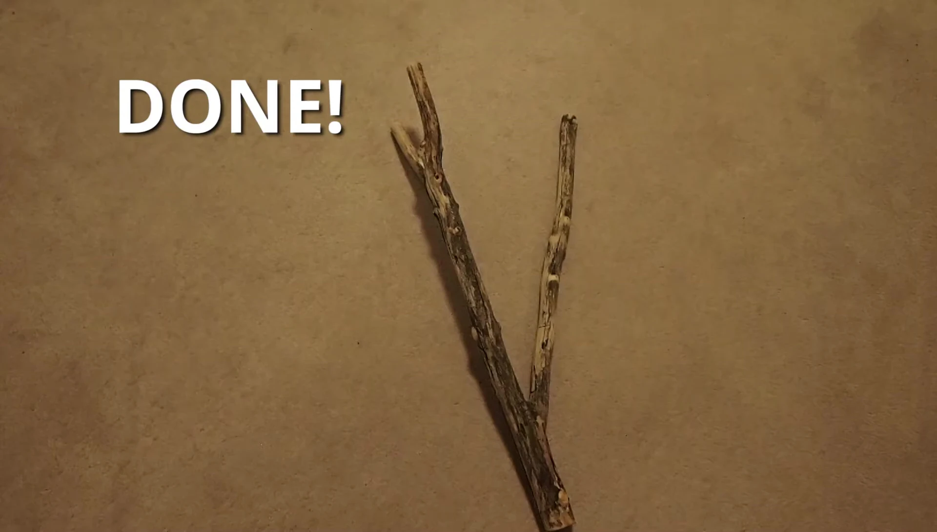 Small branch after baking