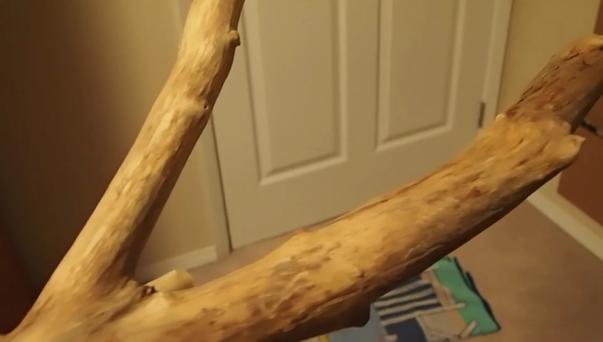 Note on wood decomposition