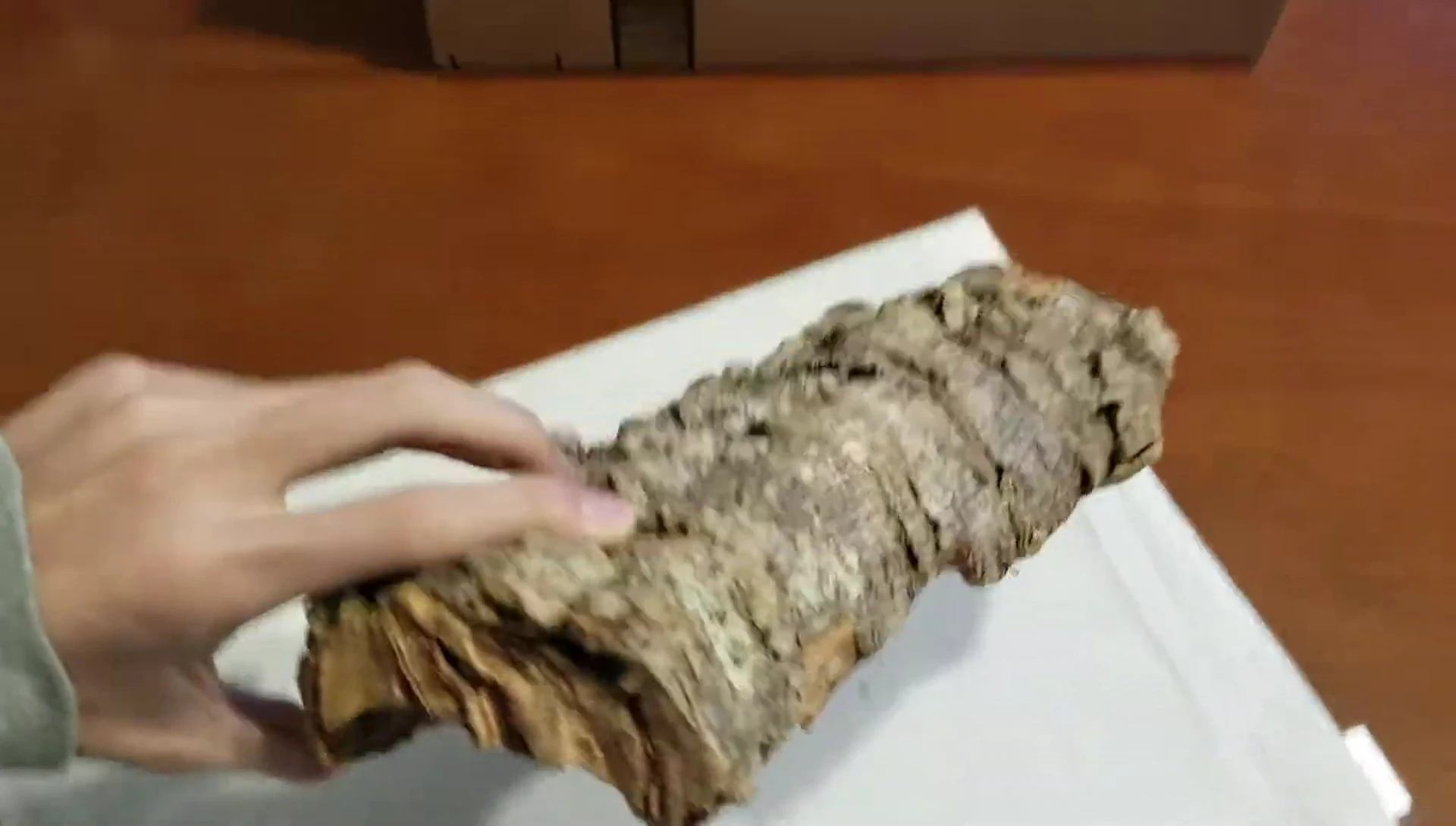 The cork bark being cut in half.