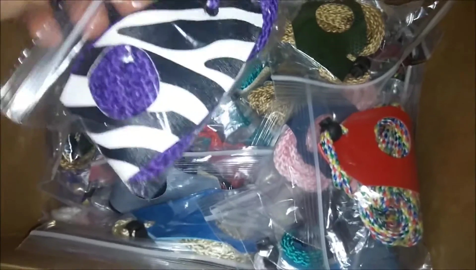 A selection of lizard wings showcasing different patterns and colors.