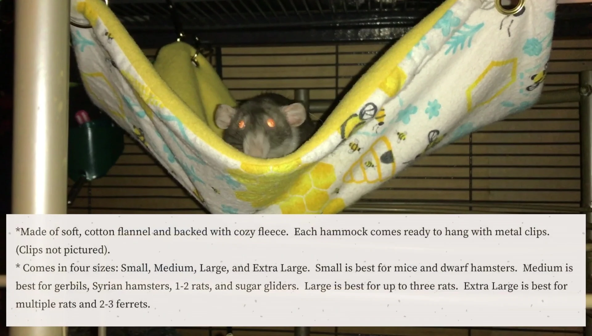 Chart showing the size guide for different rodent types