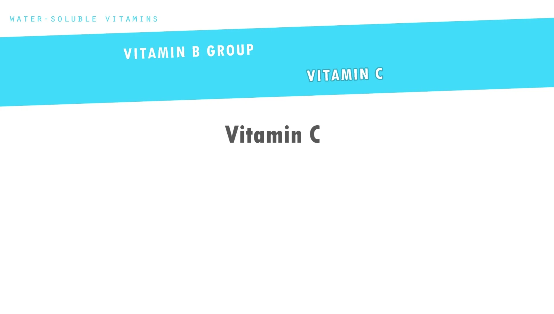 Illustration explaining how reptiles produce vitamin C.