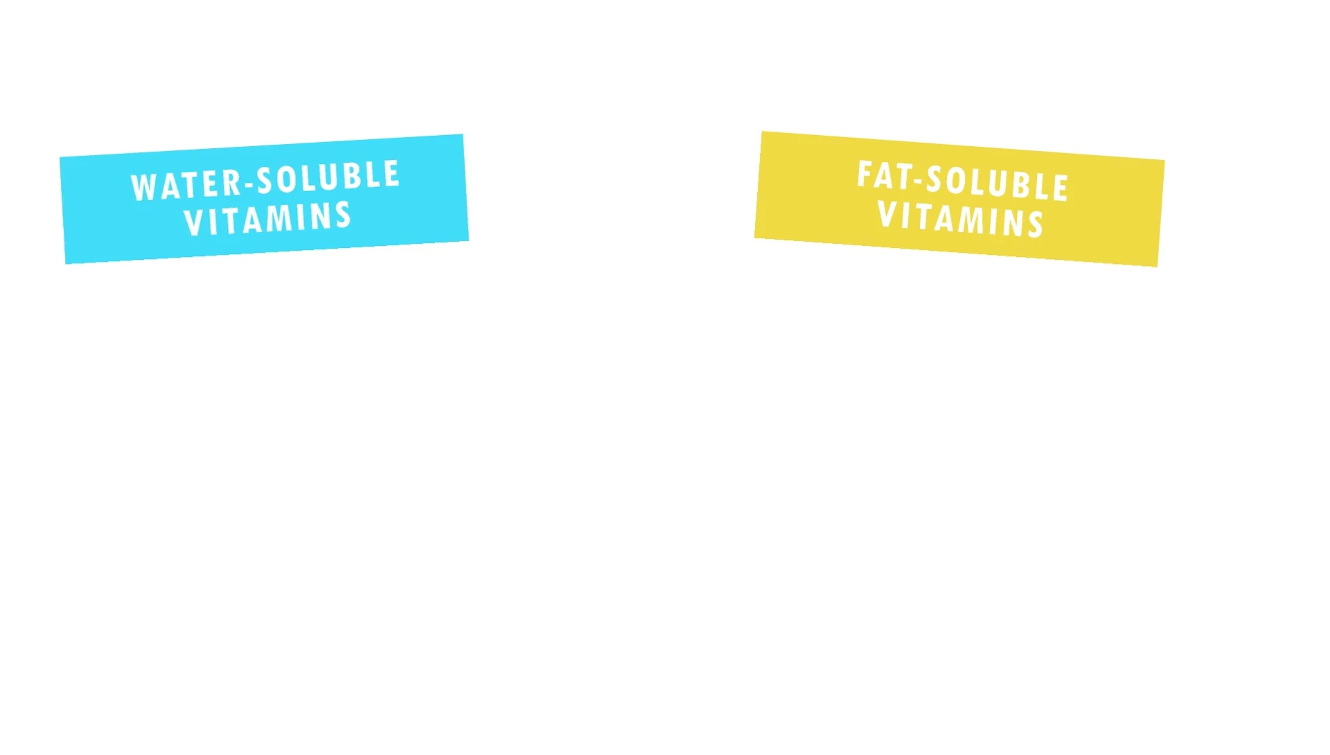 Diagram illustrating the difference between fat-soluble and water-soluble vitamins.