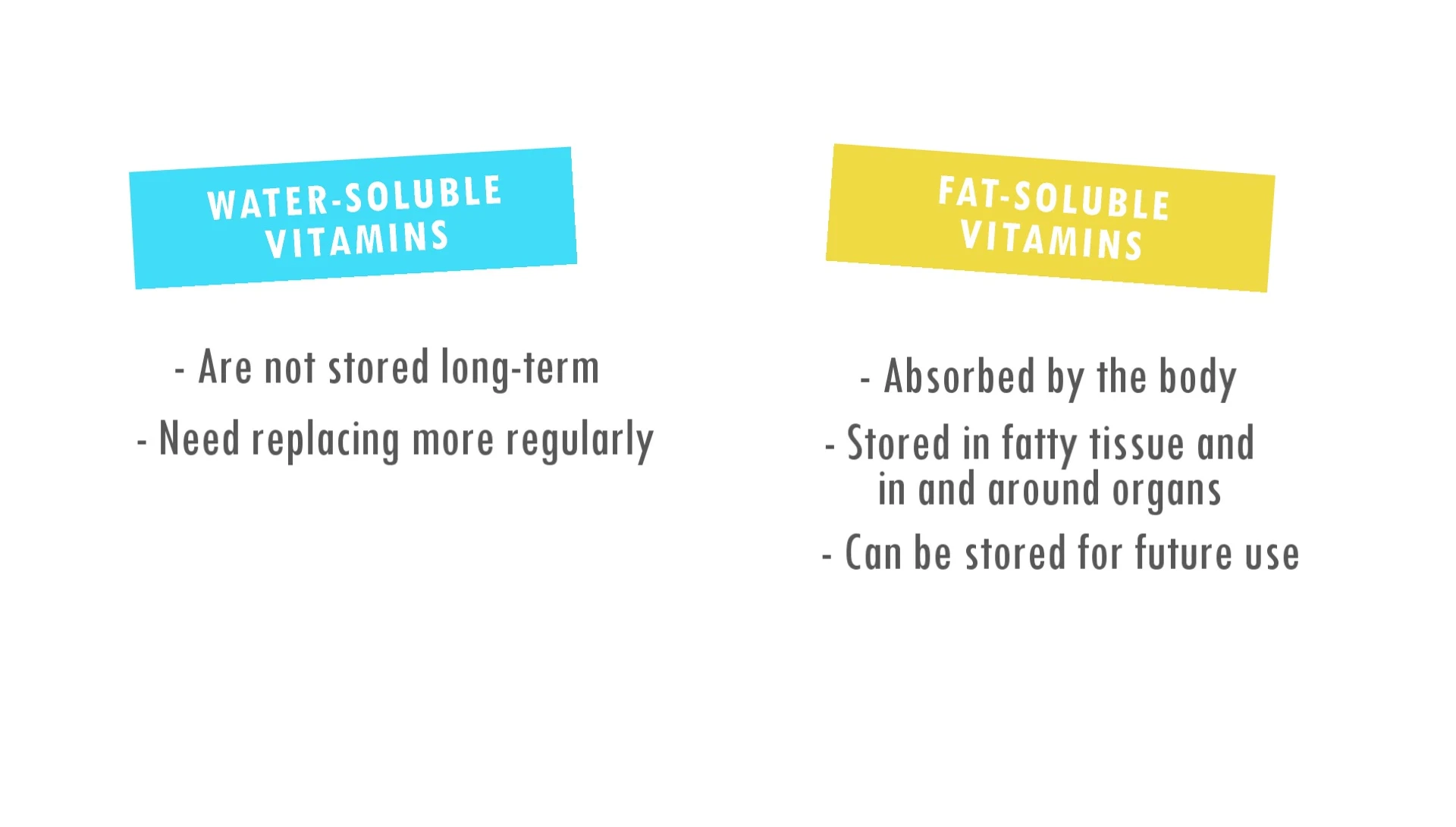 Visual representation of fat-soluble vitamin storage in the body.