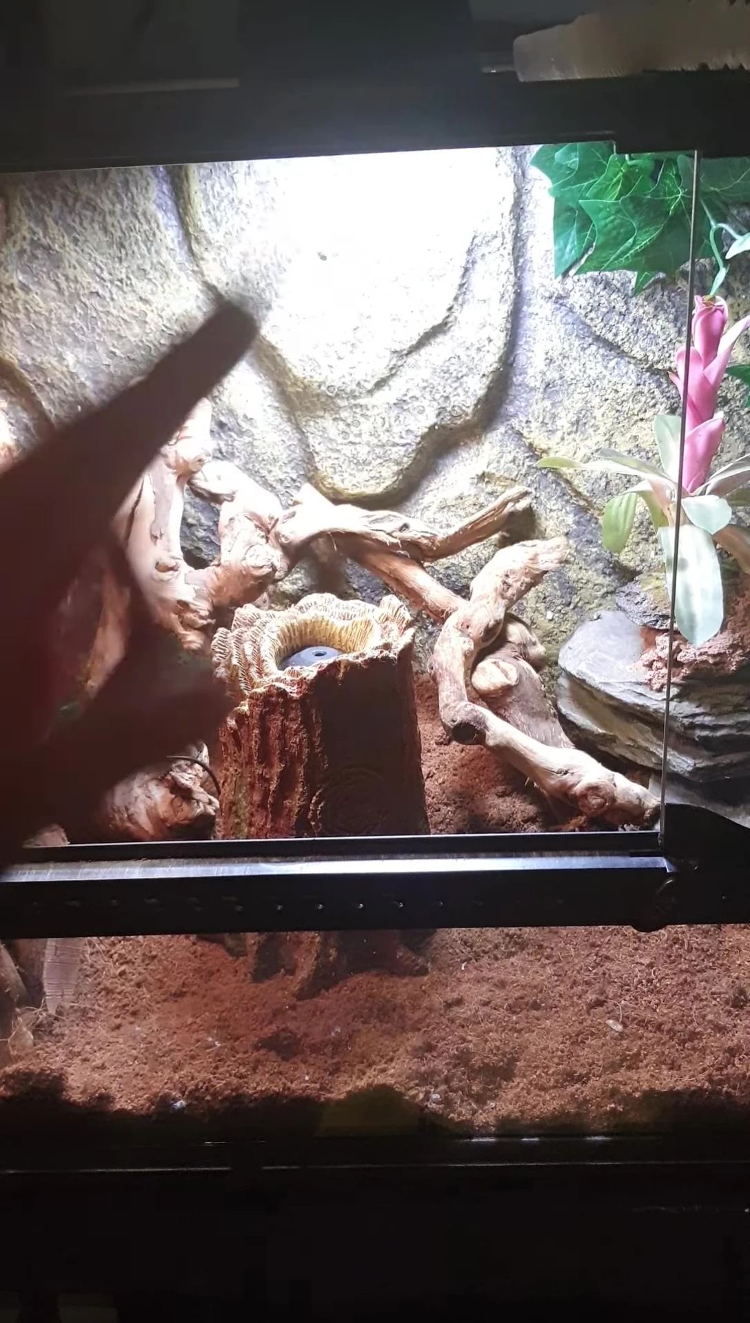 The Zoo Med Repti Fogger showing the adjustable fog output