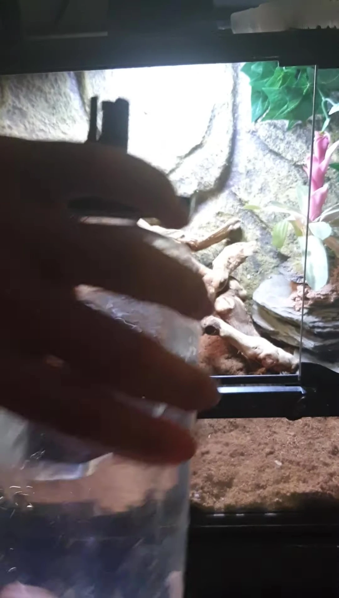 Close-up showing the easy-to-remove bottle of the Zoo Med Repti Fogger