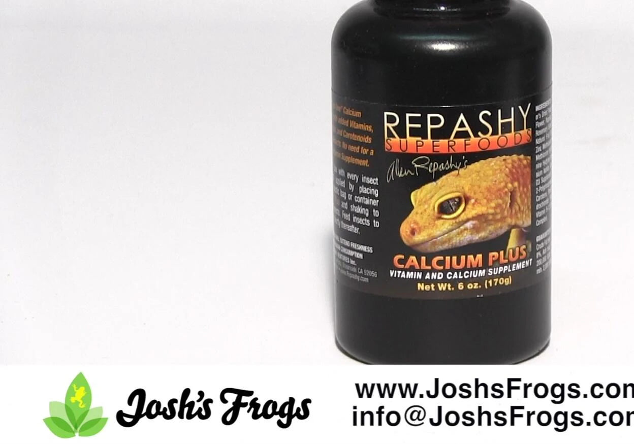 Dusting feeder insects with Repashy Calcium Plus
