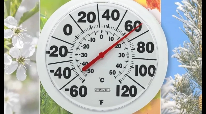 The Springfield thermometer in a garden setting, demonstrating its indoor and outdoor adaptability.