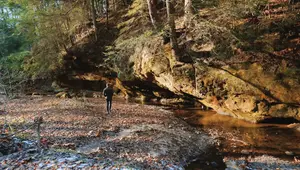 2024's Most Unique Airbnb: A Cave House in Hocking Hills, Ohio