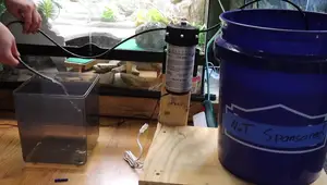 4 Best Ways to Mist Your Reptile Cages: A Detailed Guide