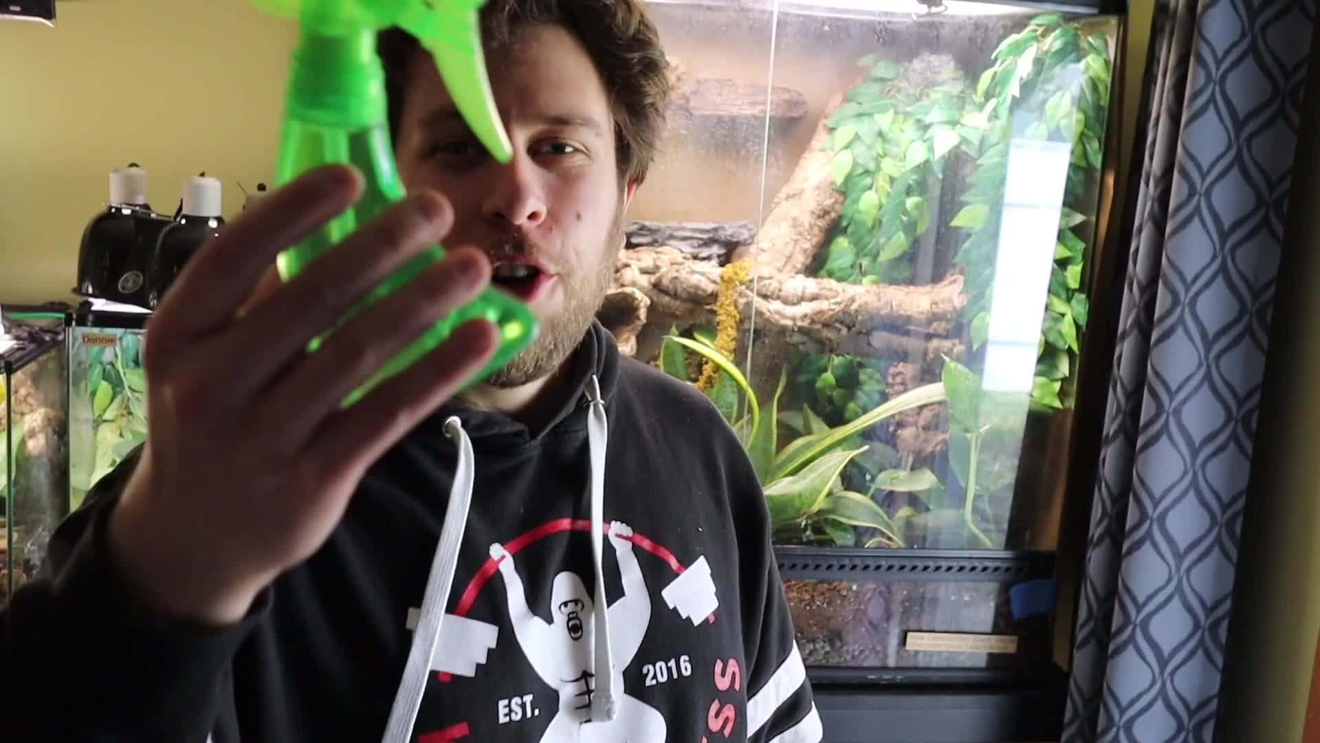 A person using a squirt bottle to mist a reptile enclosure.
