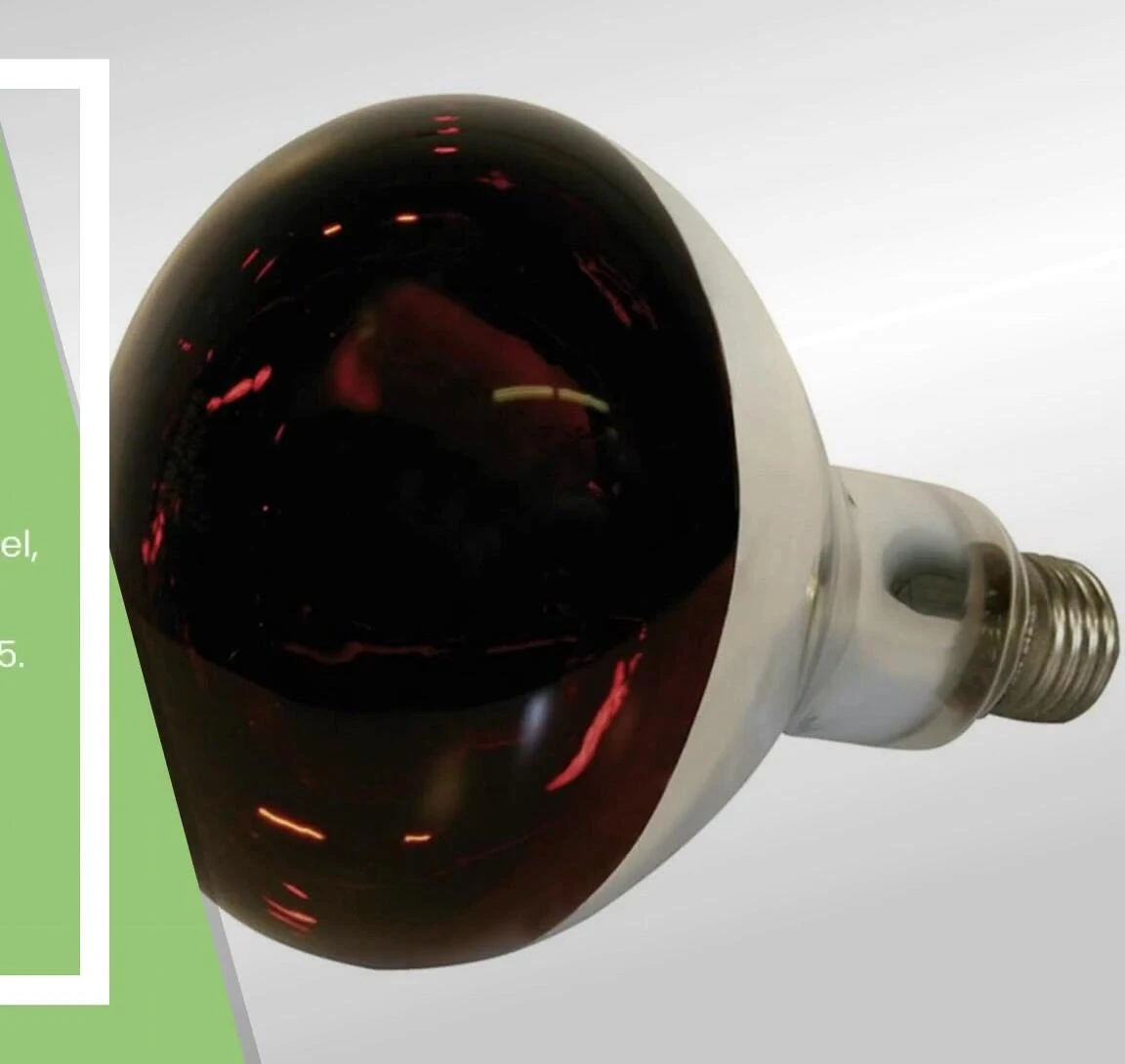 Close-up showcasing the lamp's dimensions and durability.
