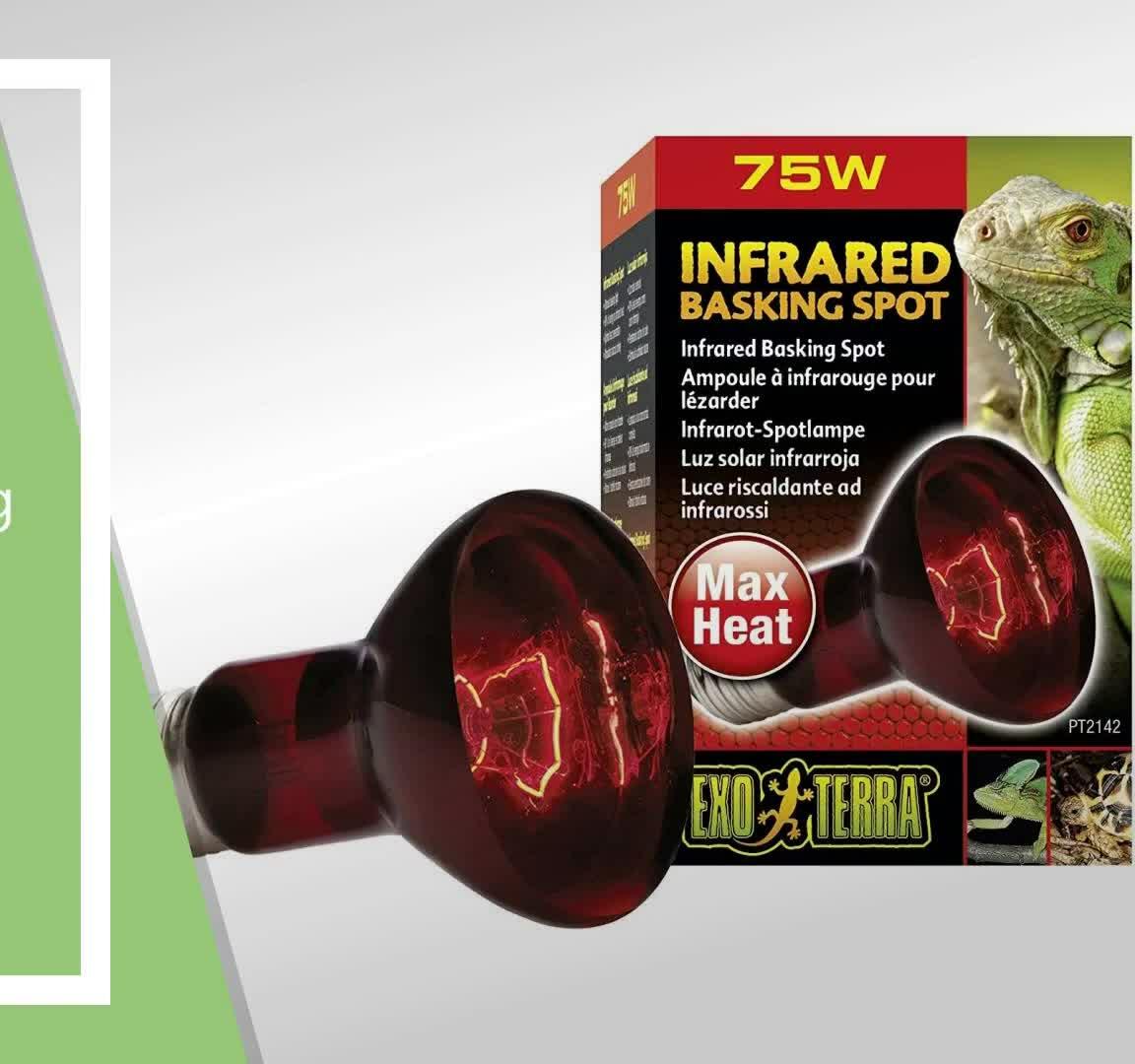 Image highlighting the different wattage options available for the lamp.