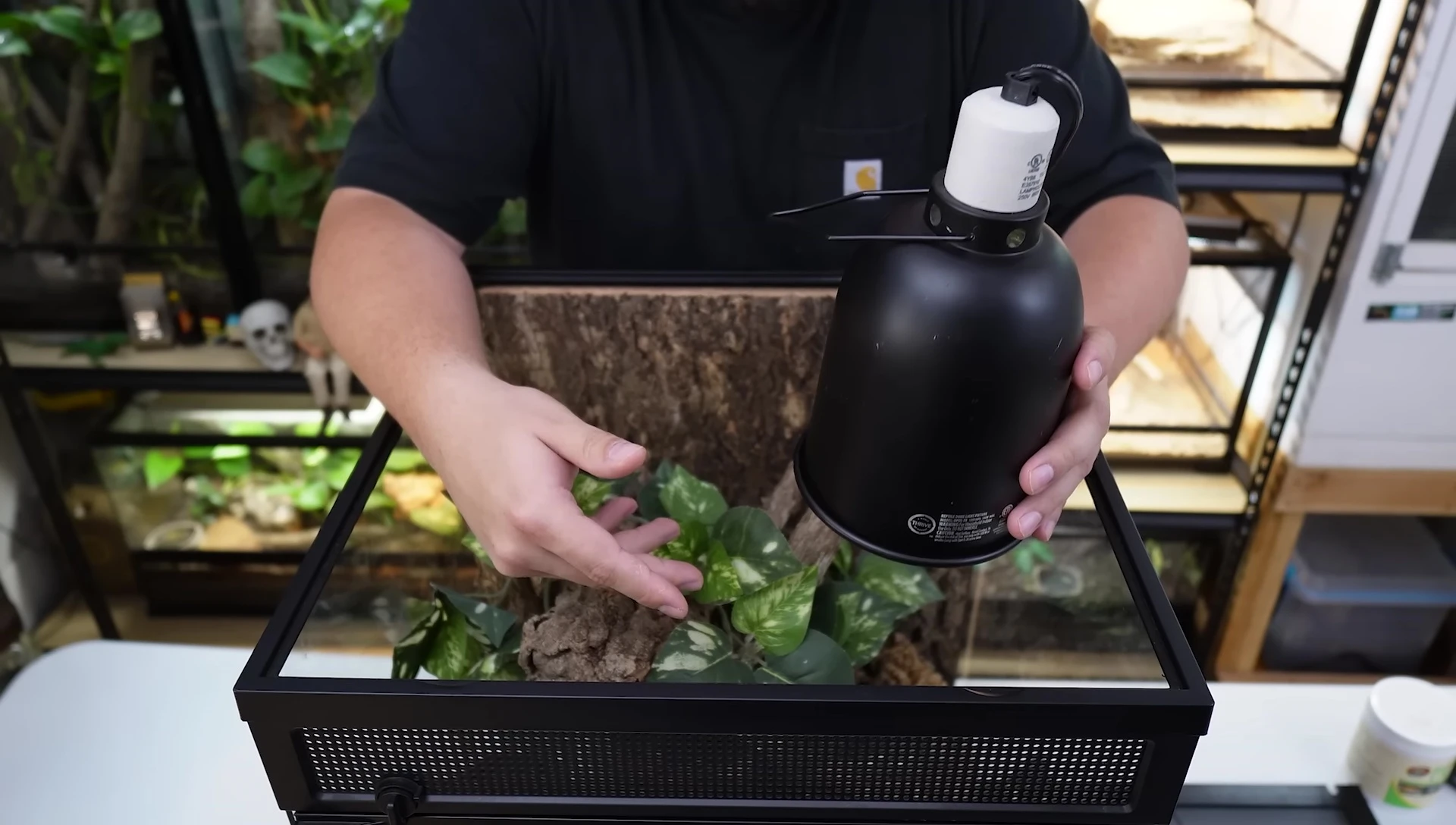 Demonstration of setting up a thermostat to regulate temperature.