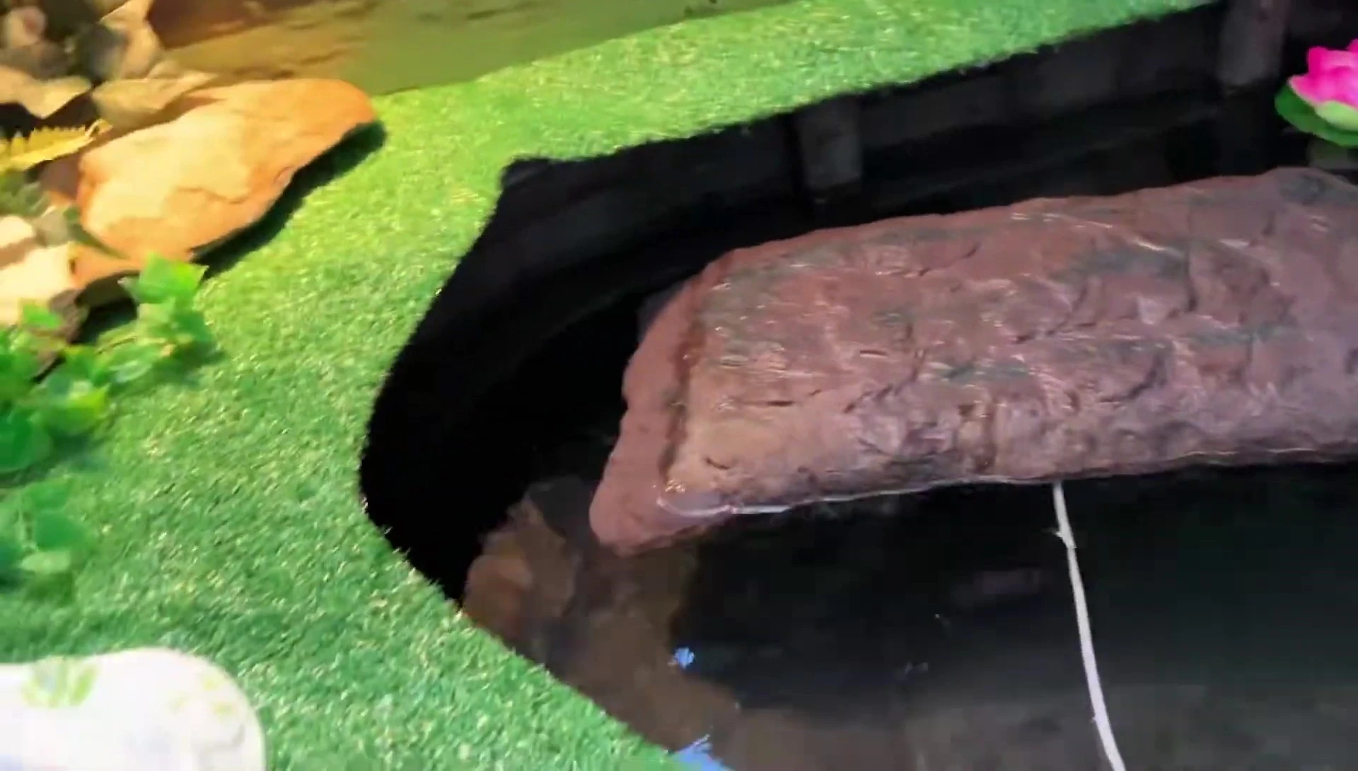 The dock in the tank, partially submerged