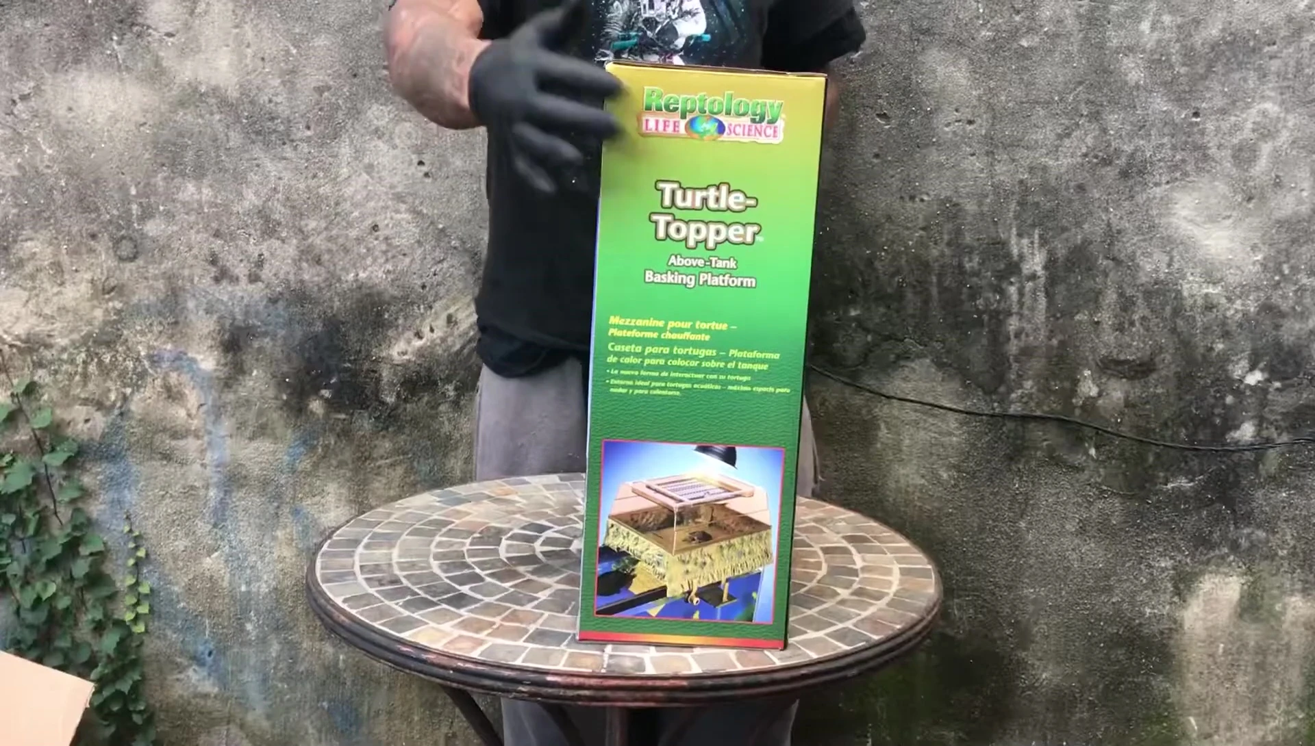 The Reptology Life Science Turtle Topper box