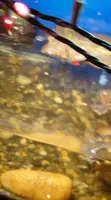 Zilla Platform Filter Review: A Turtle Tank Upgrade?