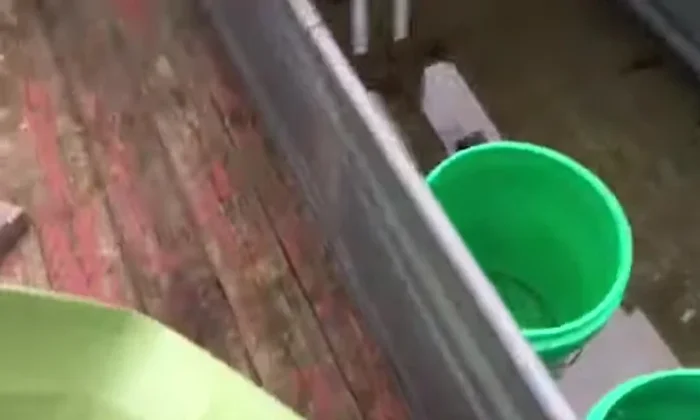 Cut additional access points in the plastic tub to allow easy access to the filter and create a more effective basking area.