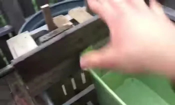 Cut additional access points in the plastic tub to allow easy access to the filter and create a more effective basking area.