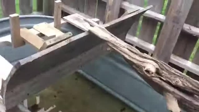 Prepare warm water (around 75 degrees) to fill the stock tank, facilitating the transition of goldfish and turtles without stress.