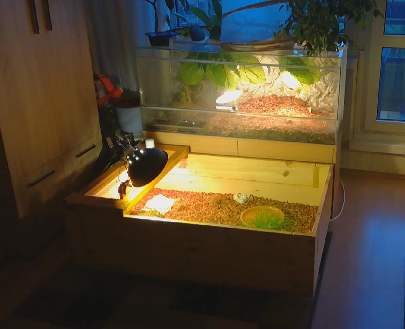 UV and heat lamps