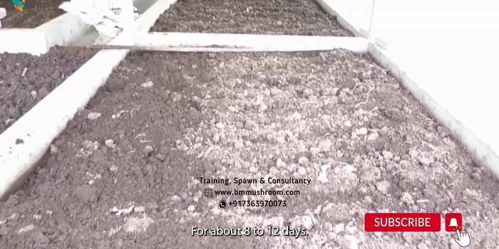 Add a 2-3 inch layer of soil or sand at the bottom of the tank (224.04)