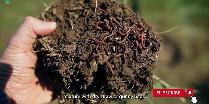 Frequently check the compost to avoid overheating and maintain proper moisture and temperature (279.6)