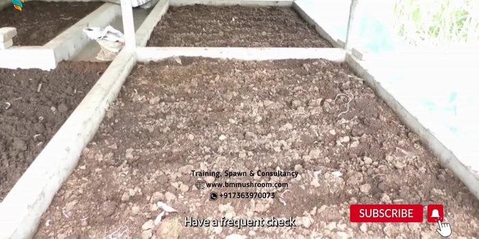Frequently check the compost to avoid overheating and maintain proper moisture and temperature (279.6)