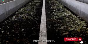 Vermicomposting Spent Mushroom Substrate (SMS): A Profitable Waste Recycling Method