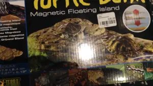 Exo Terra Turtle Bank Review: Is This Basking Platform Worth It?