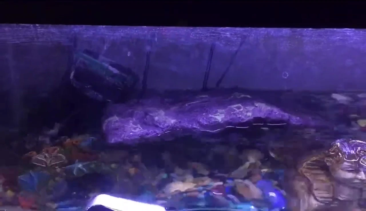 Adding water to help with suction