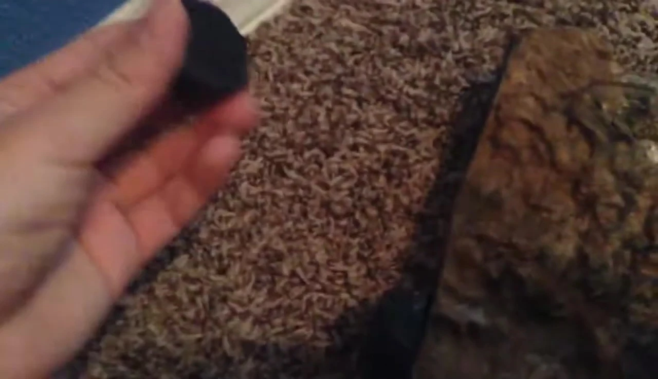 Close-up of the ledge demonstrating its strength and sturdiness.