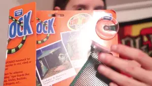 Reptile Hammock Review: Pickles PET SHOP Unboxing & Bearded Dragon Happiness