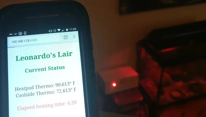 Develop a web interface (or app) to display the status and timer data.