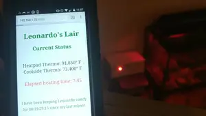 Build a Smart Gecko Habitat Monitor with ESP8266