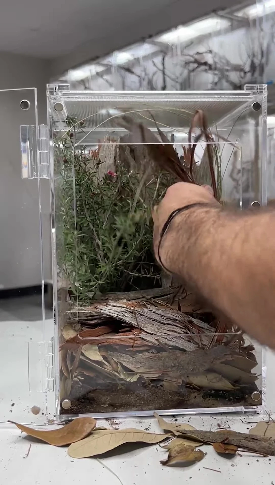 Decorative elements added to the enclosure.