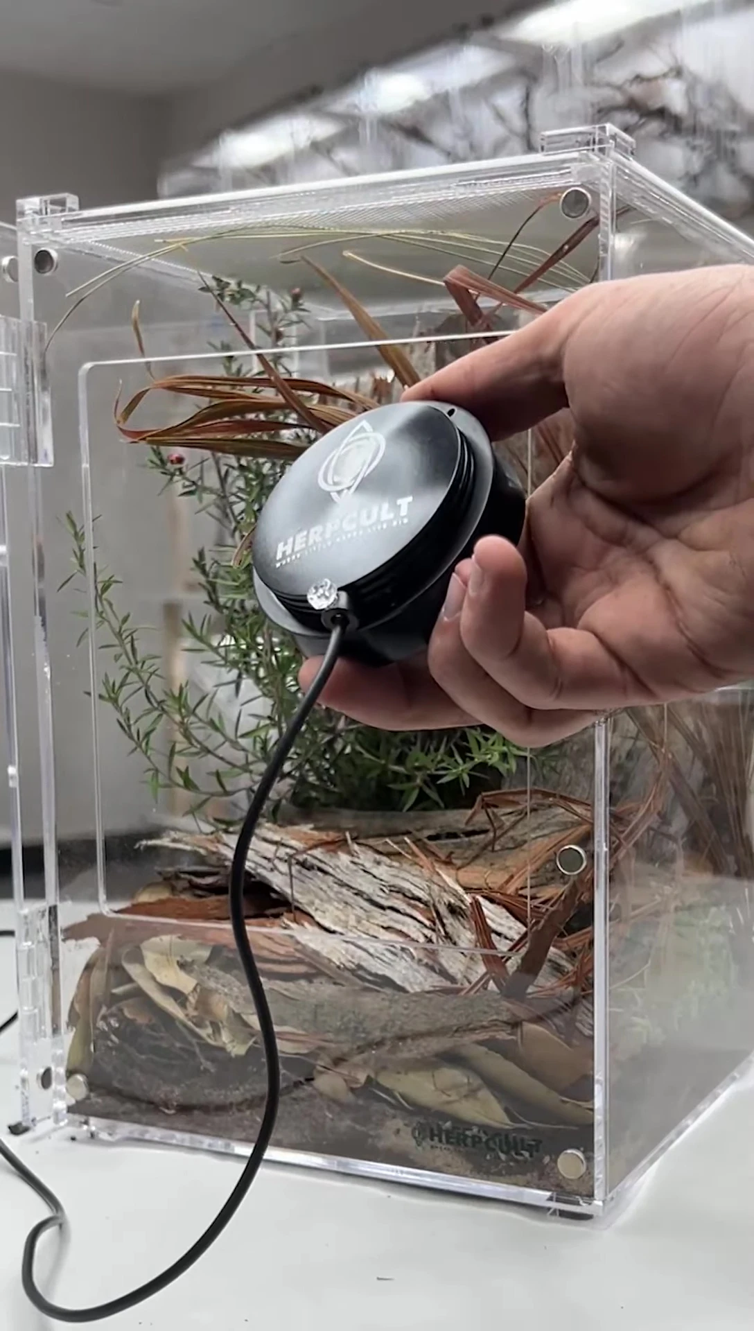 The Herp Cult UVA/UVB LED light.