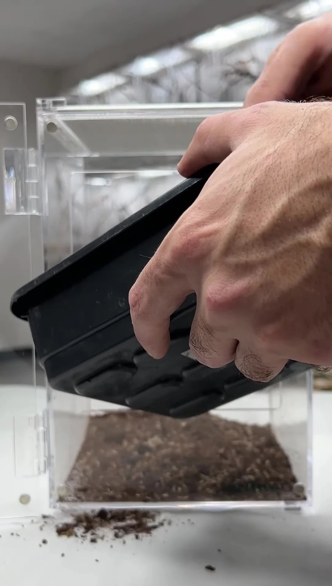 Close-up view of the substrate being prepared.