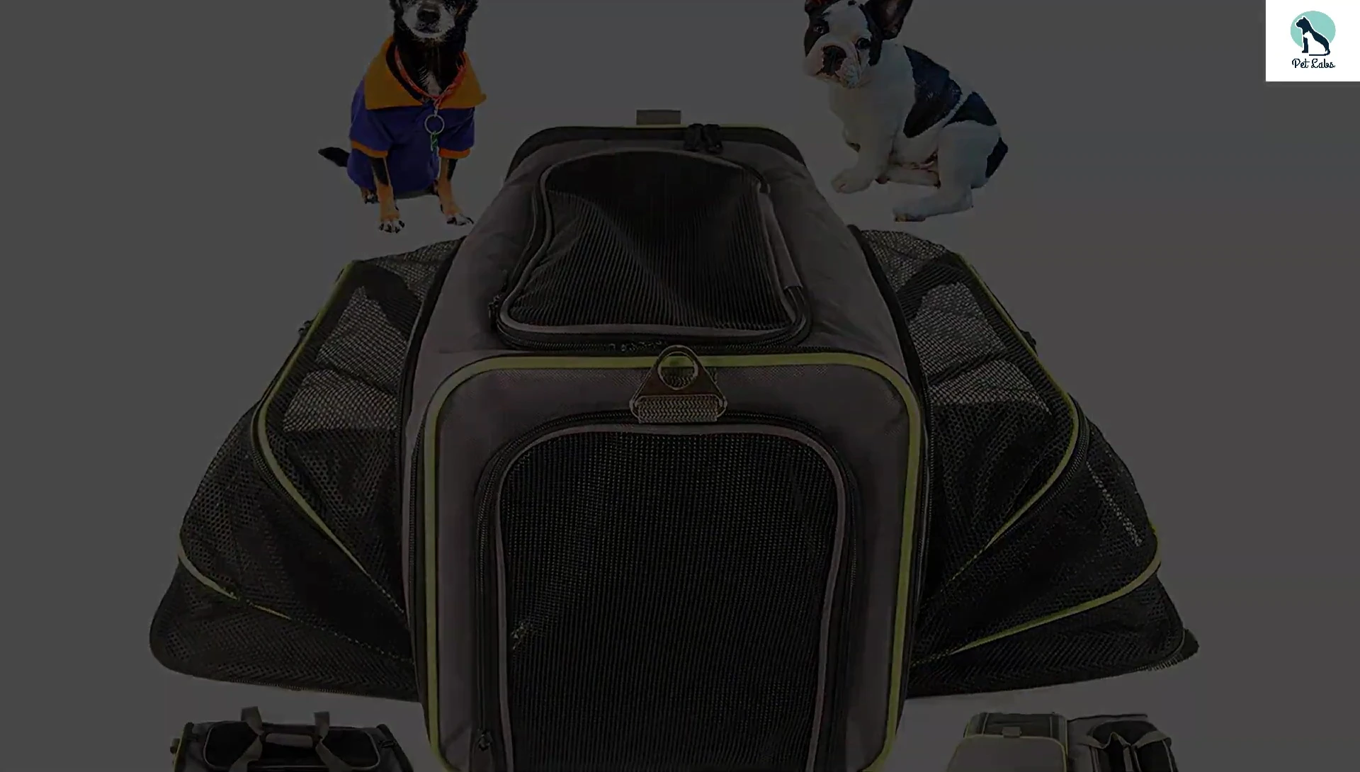 The Odie Tom's Airline Approved Pet Carrier showcased