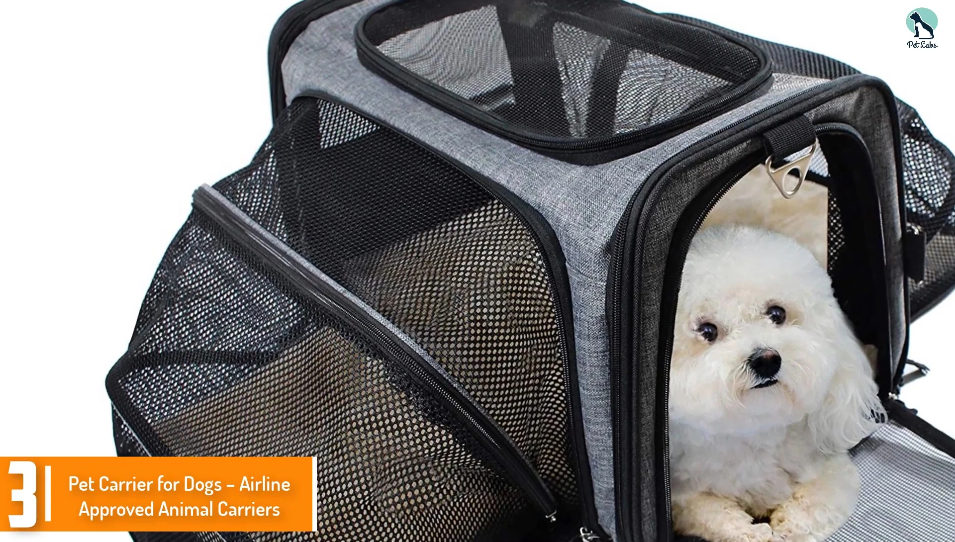 A small dog comfortably inside the Odie Tom's carrier
