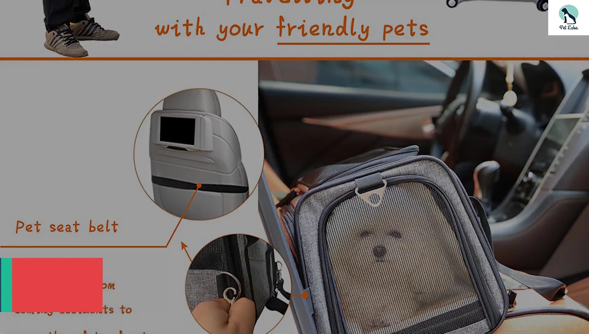 The Nicrew Hands-Free Adjustable Dog Backpack Carrier