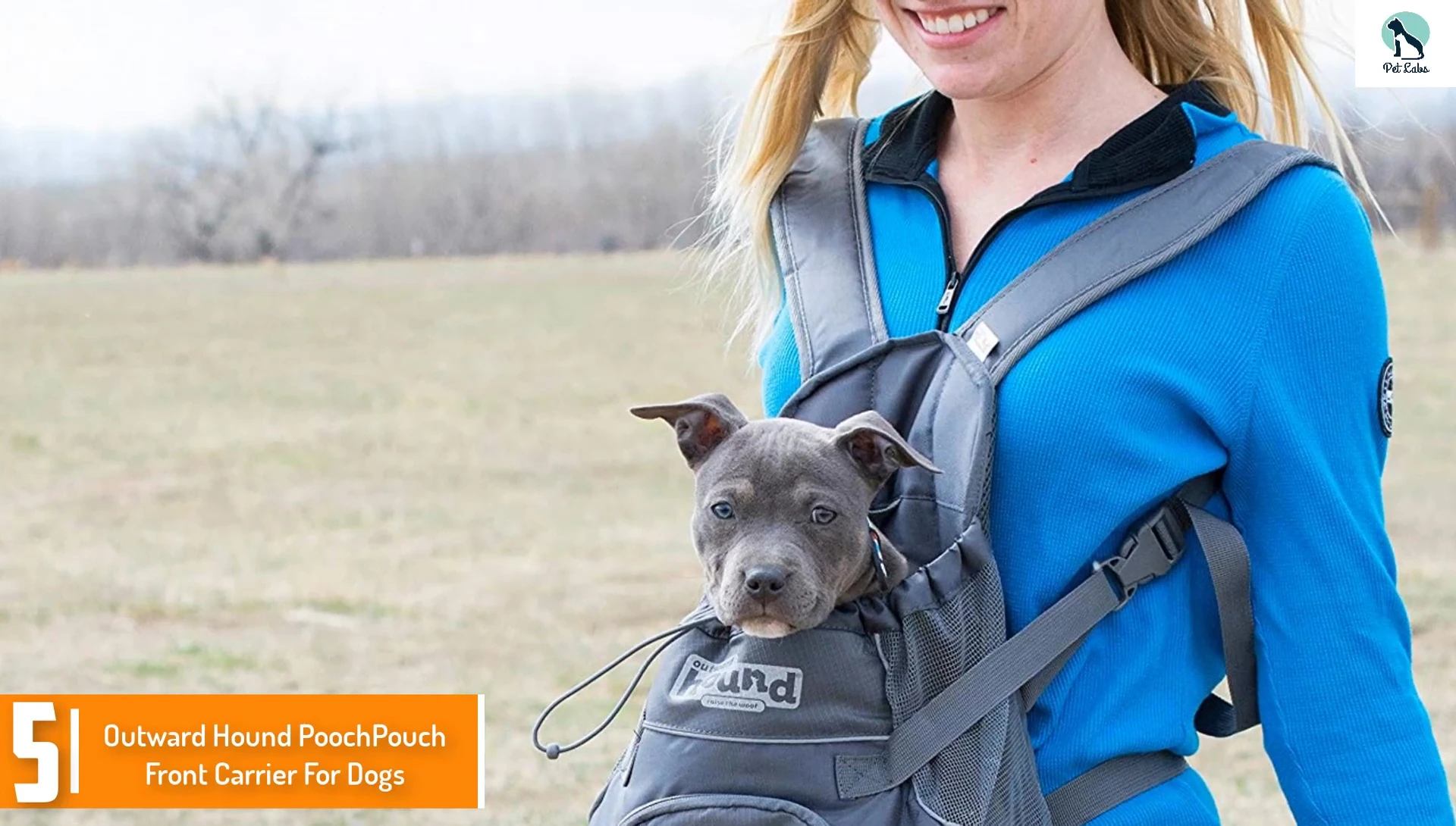 Outward Hound Pooch Pouch front carrier