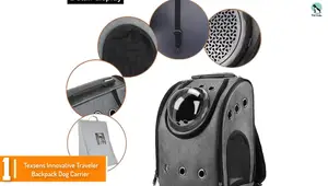 Top 5 Best Motorcycle Dog Carriers of 2024: A Detailed Review