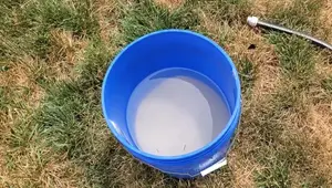 Budget-Friendly Aquarium Sand Cleaning: Achieve Pristine Results on a Dime!