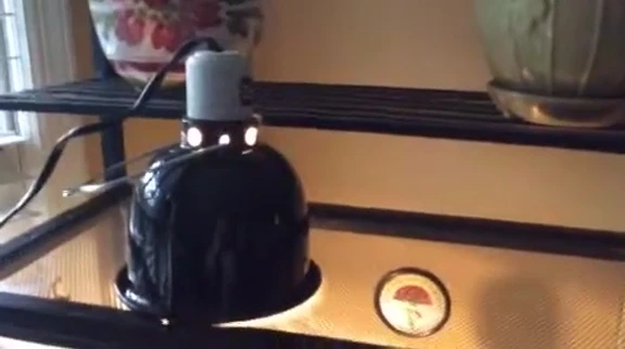 Shot showing the reviewer discussing the short lifespan of the lamp.
