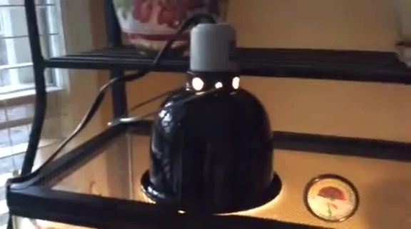 Close-up of the ceramic base of the lamp, highlighting its safety feature.