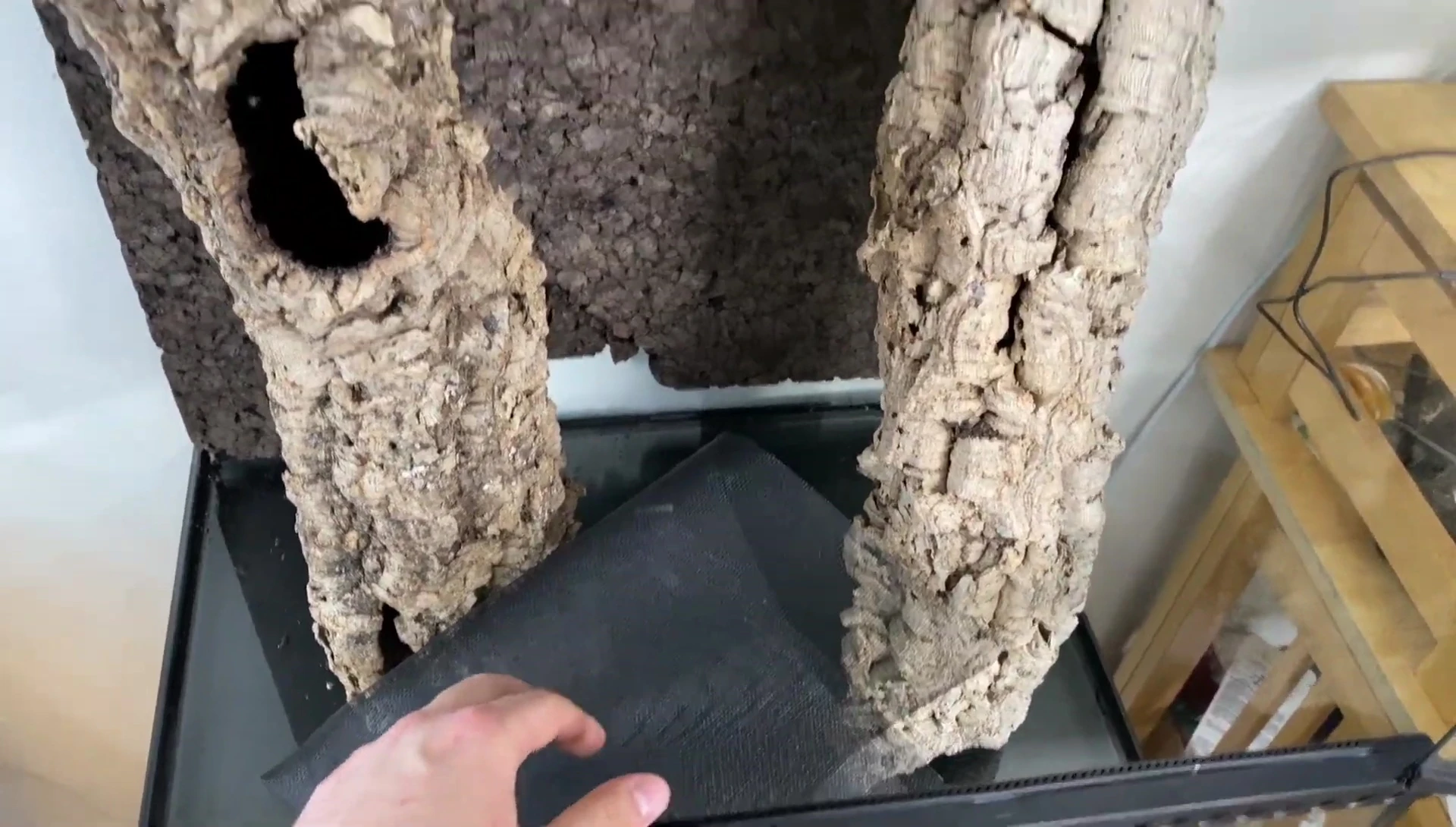 Cork bark pieces arranged within the enclosure