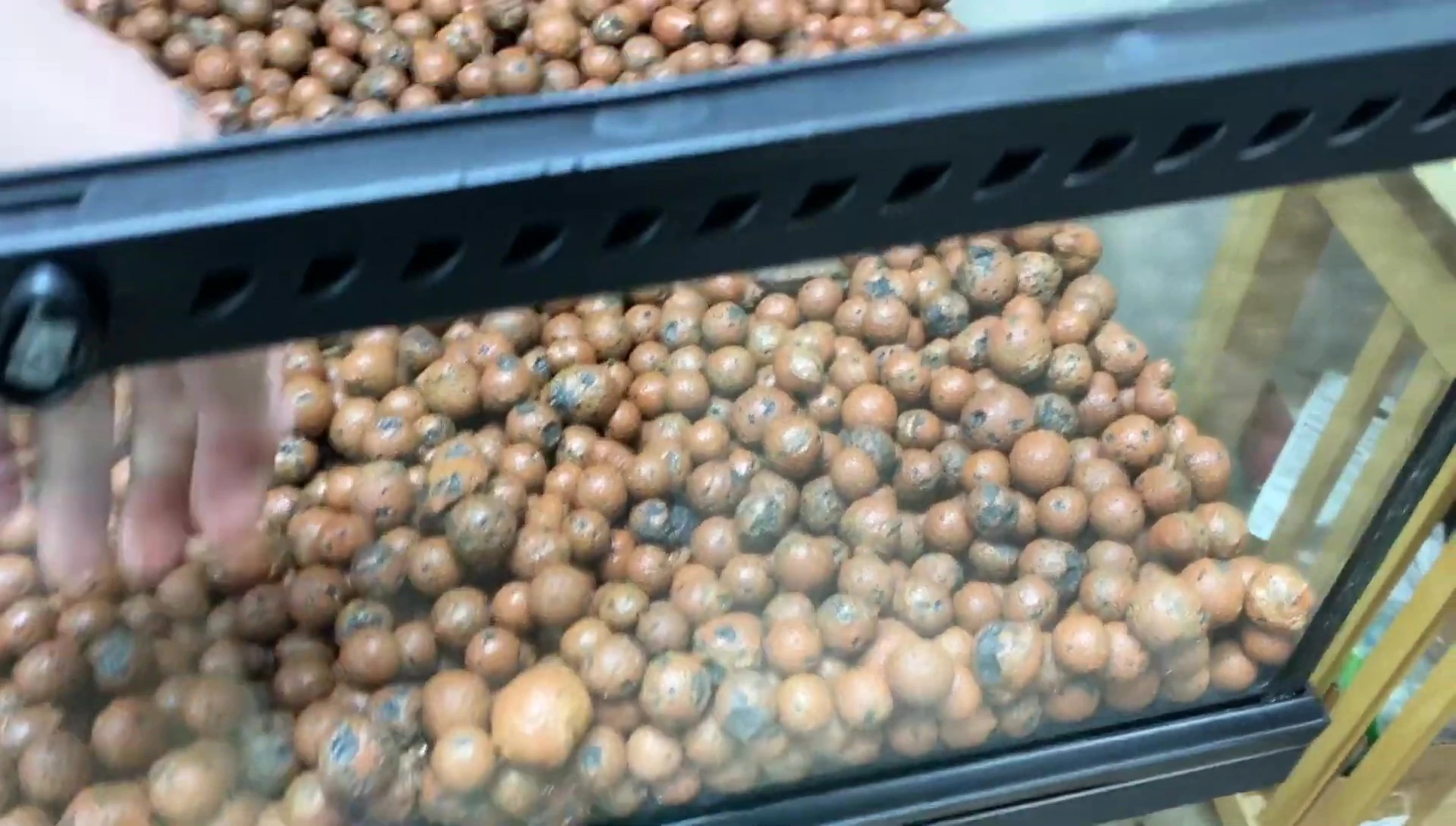 Mesh separating the hydroton and substrate layers