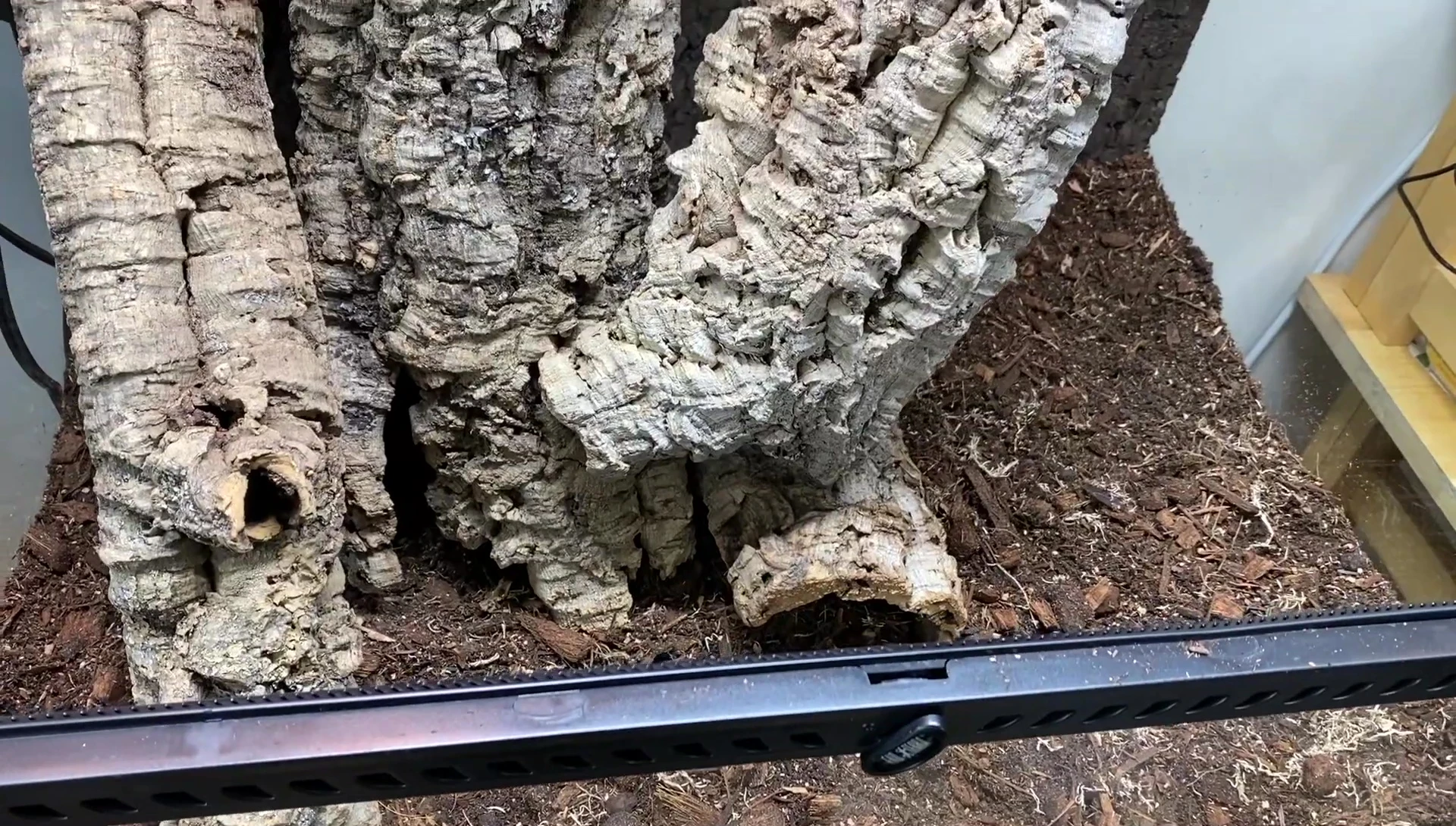 Initial hardscape arrangement